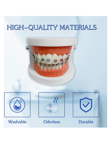 Modelo Dental Ortodontico Ceonam JY+YT con Brackets Coloridos