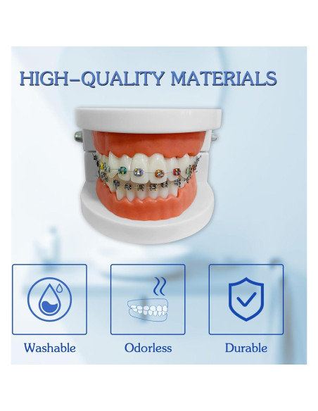 Modelo Dental Ortodontico Ceonam JY+YT con Brackets Coloridos