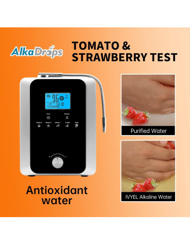 Ionizador de Agua Alcalina EHM 8000L PH 3-11 11 Placas