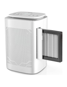 Deshumidificador THECOSKY DH16 con Filtro HEPA y 1600ml