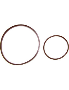 Kit de reparación bomba de vacío RKX para BMW N62 N73 V8 2