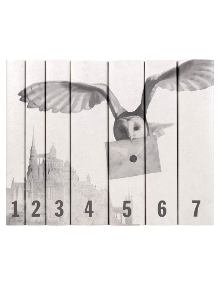 Conjunto de 7 Libros Harry Potter - Juniper Books - Edición Especial