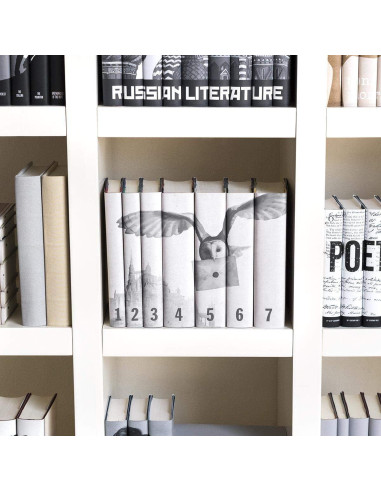 Conjunto de 7 Libros Harry Potter - Juniper Books - Edición Especial