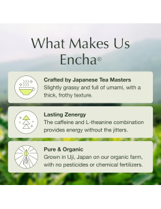 Té Matcha Ceremonial Orgánico Encha 30g de Japón 2