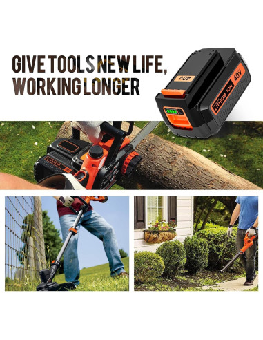 2 Baterías de Litio 40V Black and Decker LBX2540 Rojo