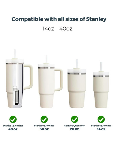Pajillas Reutilizables WATERH con Filtro para Botellas Stanley
