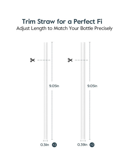 Pajillas Reutilizables WATERH con Filtro para Botellas Stanley