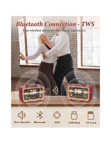 PRUNUS Radio Retro Bluetooth J-170 Altavoz Portátil 14W