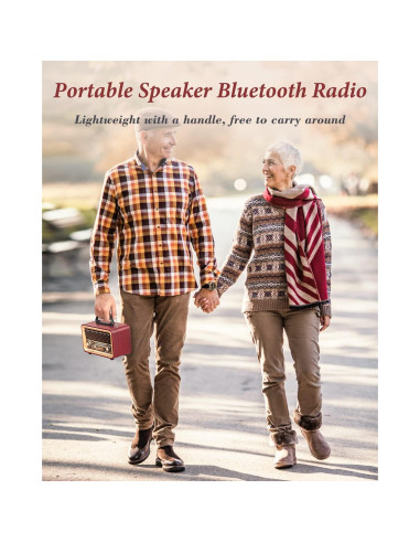 PRUNUS Radio Retro Bluetooth J-170 Altavoz Portátil 14W