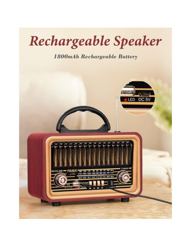 PRUNUS Radio Retro Bluetooth J-170 Altavoz Portátil 14W