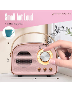 Altavoz Bluetooth Retro SpringFlora Rosa 11.43x6.10cm TWS 2