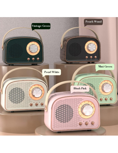 Altavoz Bluetooth Retro SpringFlora Rosa 11.43x6.10cm TWS