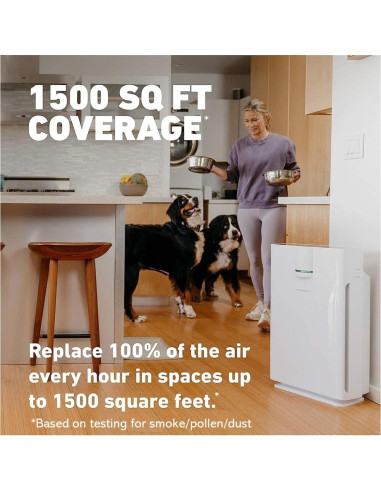 Purificador de Aire Hathaspace HSP002 HEPA 99.9% Silencioso