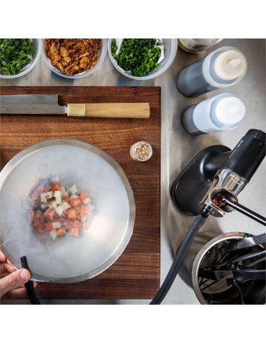 Ahumador de Alimentos PolyScience Pro Portátil Negro