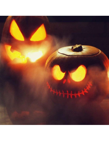 Creador de Niebla PULACO 24V para Estanques y Decoración