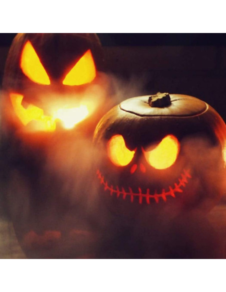 Creador de Niebla PULACO 24V para Estanques y Decoración