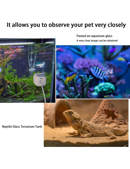 Soporte de Ventana Teccle para Blink Mini 2 Blanco