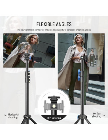 Soporte de Luz NEEWER ST155A 72-155cm con Caja de Luz