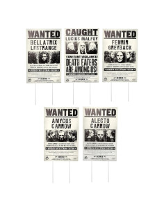 Carteles Se Busca Harry Potter Rubie's Jardín 5 Piezas