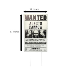 Carteles Se Busca Harry Potter Rubie's Jardín 5 Piezas 2