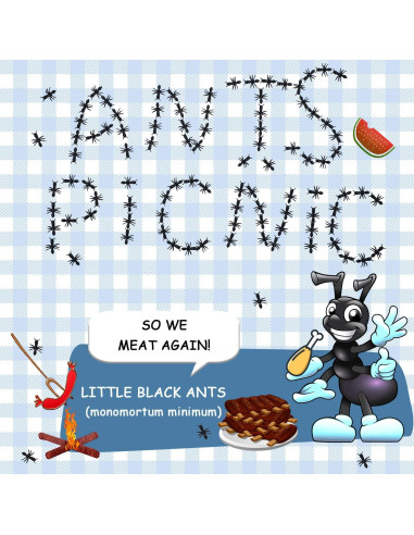 Hormigas Falsas Jovitec 300 Piezas Broma Realista Halloween