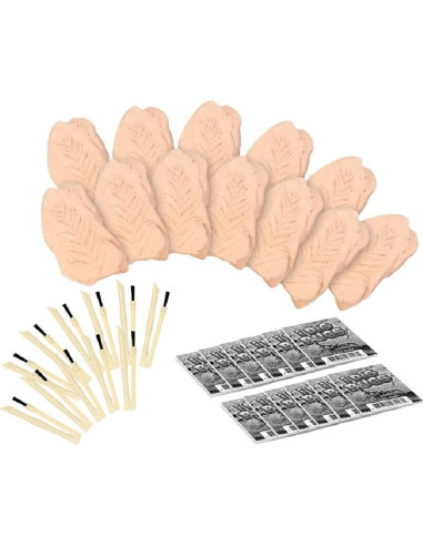 Kit de Excavación TRADE Big Bug - 12 Insectos Reales