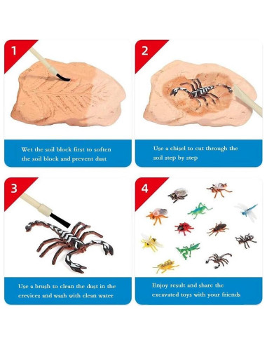 Kit de Excavación TRADE Big Bug - 12 Insectos Reales