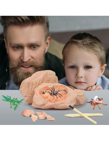 Kit de Excavación TRADE Big Bug - 12 Insectos Reales