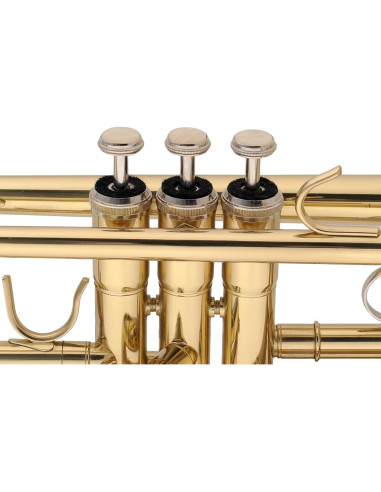 Trompeta Aileen Lexington TP8001G Estudiante Bb Oro con Estuche