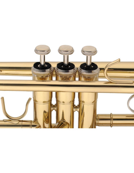 Trompeta Aileen Lexington TP8001G Estudiante Bb Oro con Estuche