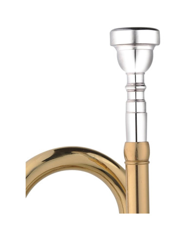 Trompeta Aileen Lexington TP8001G Estudiante Bb Oro con Estuche