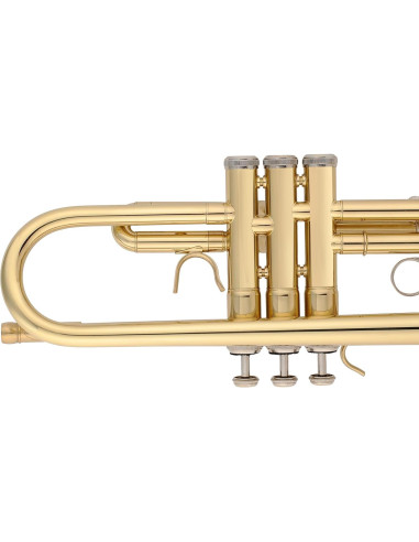 Trompeta Aileen Lexington TP8001G Estudiante Bb Oro con Estuche