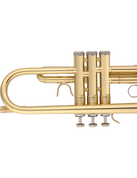 Trompeta Aileen Lexington TP8001G Estudiante Bb Oro con Estuche