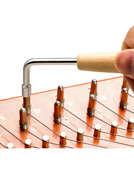 Kit de Afinación 16 Clavijas + Martillo Cuello de Ganso