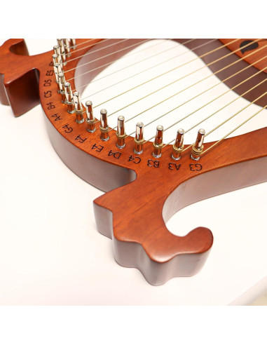 Kit de Afinación 16 Clavijas + Martillo Cuello de Ganso