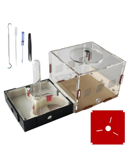 Kit Terrario Hormigas Ants Footsteps 9.91x20.81 cm