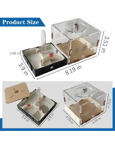 Kit Terrario Hormigas Ants Footsteps 9.91x20.81 cm 2