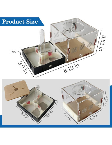 Kit Terrario Hormigas Ants Footsteps 9.91x20.81 cm