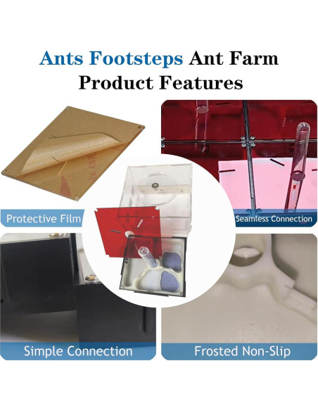 Kit Terrario Hormigas Ants Footsteps 9.91x20.81 cm
