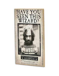 Cartel Vintage Harry Potter Sirius Black 19x29 cm Decoración 2