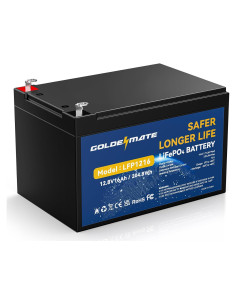Batería LiFePO4 12.8V 16Ah GOLDENMATE con BMS