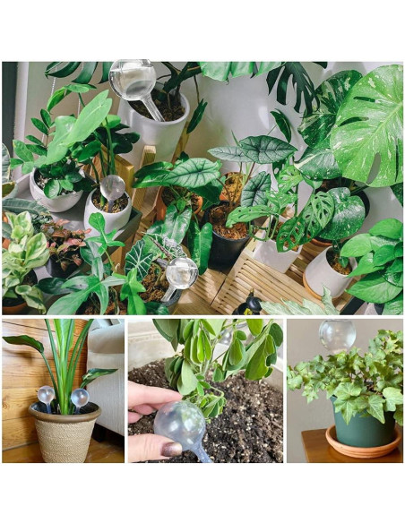 10 Esferas de Riego Automático Pynqdfu para Plantas
