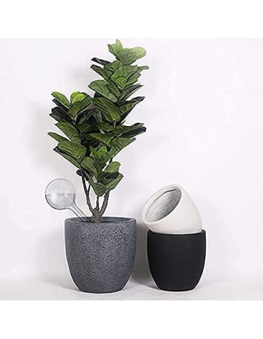 10 Esferas de Riego Automático Pynqdfu para Plantas