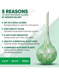 Juego de 6 Esferas de Riego Automáticas Mission Gallery 2