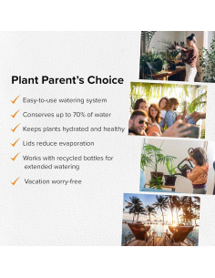 Picos de Riego Terracota The Olla - Juego de 4 para Macetas 10-15 cm 2