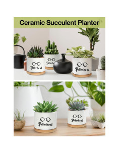Macetero de Cerámica PWHINGN Redondo con Bandeja 10 cm 2