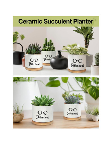 Macetero de Cerámica PWHINGN Redondo con Bandeja 10 cm