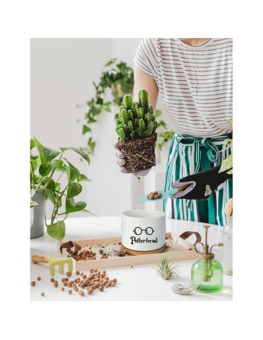 Macetero de Cerámica PWHINGN Redondo con Bandeja 10 cm