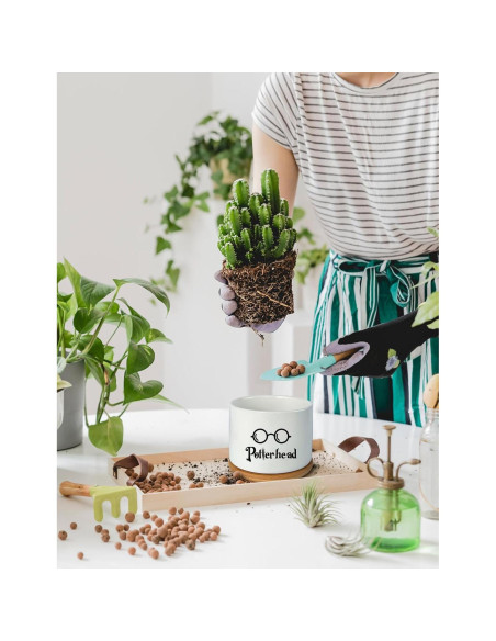 Macetero de Cerámica PWHINGN Redondo con Bandeja 10 cm