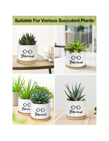 Macetero de Cerámica PWHINGN Redondo con Bandeja 10 cm